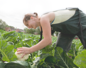 w800h630zcCq85_our_ambition_image